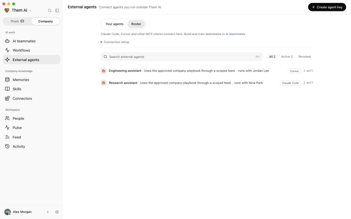 External agent connections in Them AI with their key permissions and retrieval scope